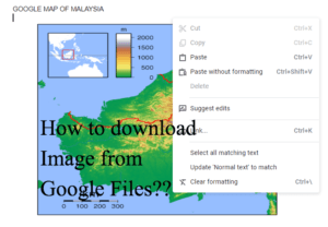 How to Download image from Google Files